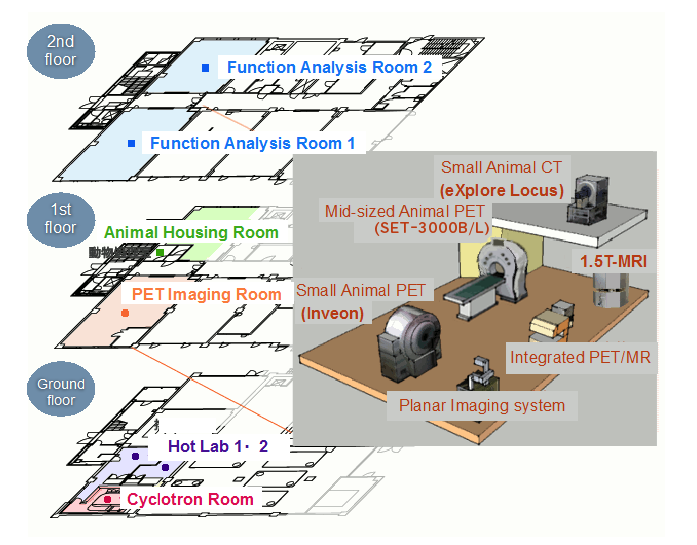 Map PET Molecular Imaging division