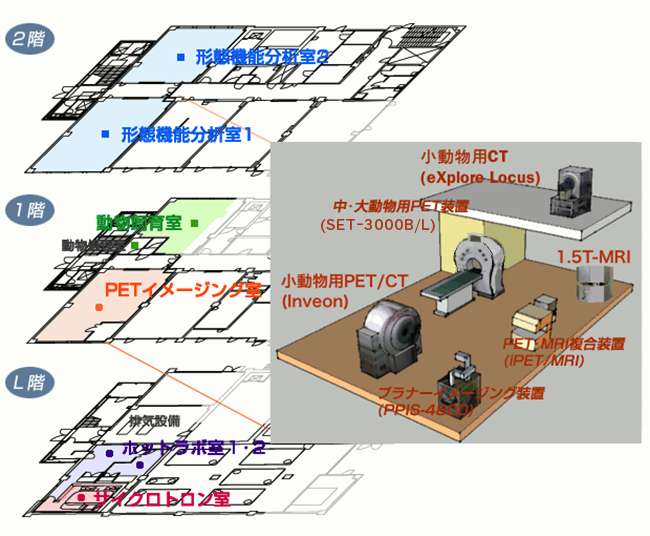 PET分子イメージング部門の地図